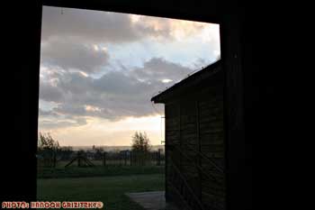 IMG_ (10947)